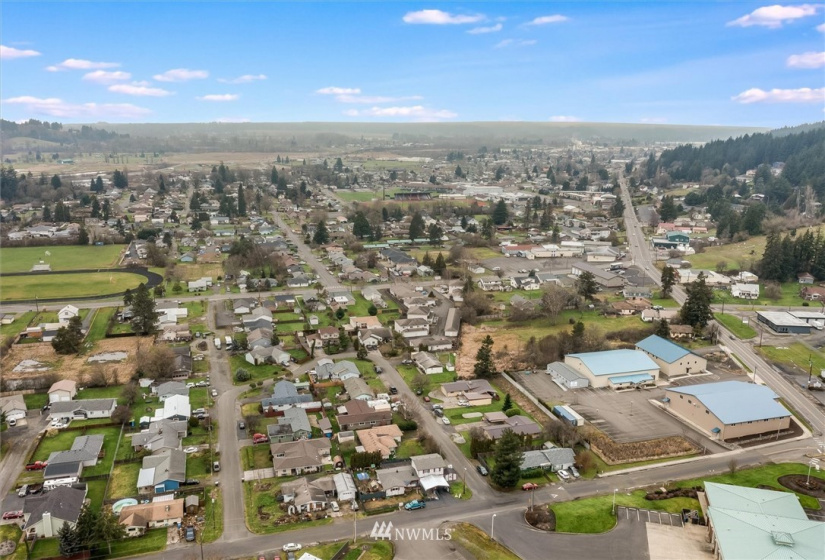 111 Wallace, Chehalis, Washington 98532, ,Land,For Sale,Wallace,NWM1880165