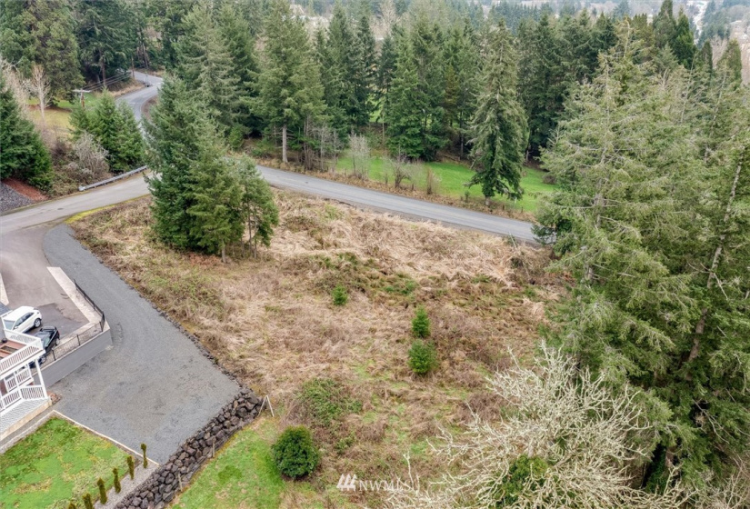 111 Wallace, Chehalis, Washington 98532, ,Land,For Sale,Wallace,NWM1880165