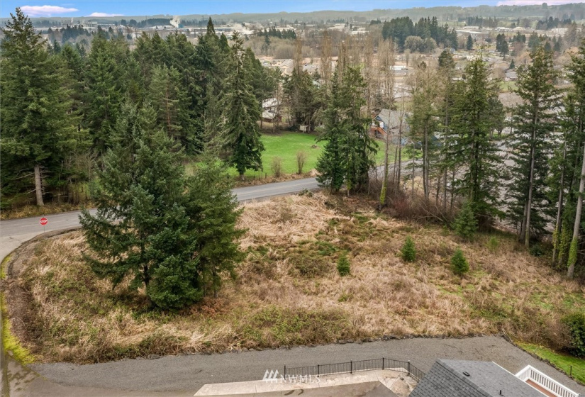 111 Wallace, Chehalis, Washington 98532, ,Land,For Sale,Wallace,NWM1880165