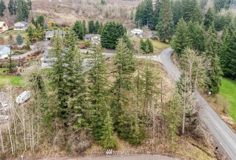 111 Wallace, Chehalis, Washington 98532, ,Land,For Sale,Wallace,NWM1880165