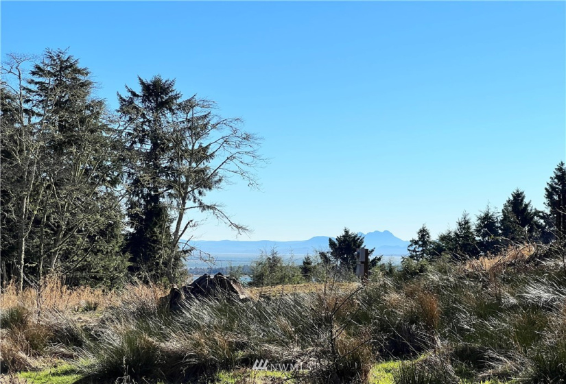 21 XX Reservoir, Ilwaco, Washington 98624, ,Land,For Sale,SA-HA-LEE,Reservoir,NWM1881786