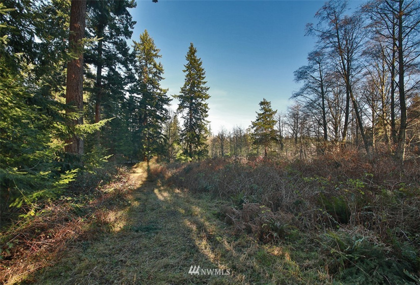 0 XXX Fish, Freeland, Washington 98249, ,Land,For Sale,Fish,NWM1882318