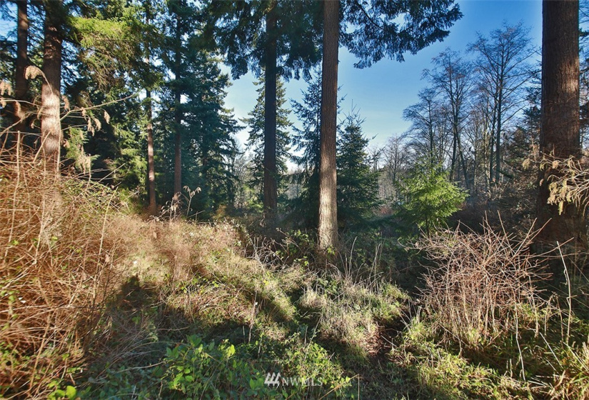 0 XXX Fish, Freeland, Washington 98249, ,Land,For Sale,Fish,NWM1882318