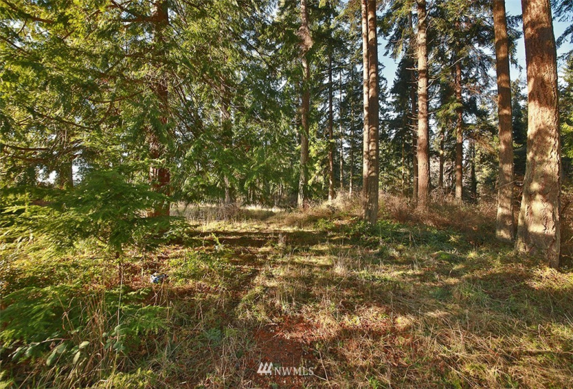 0 XXX Fish, Freeland, Washington 98249, ,Land,For Sale,Fish,NWM1882318
