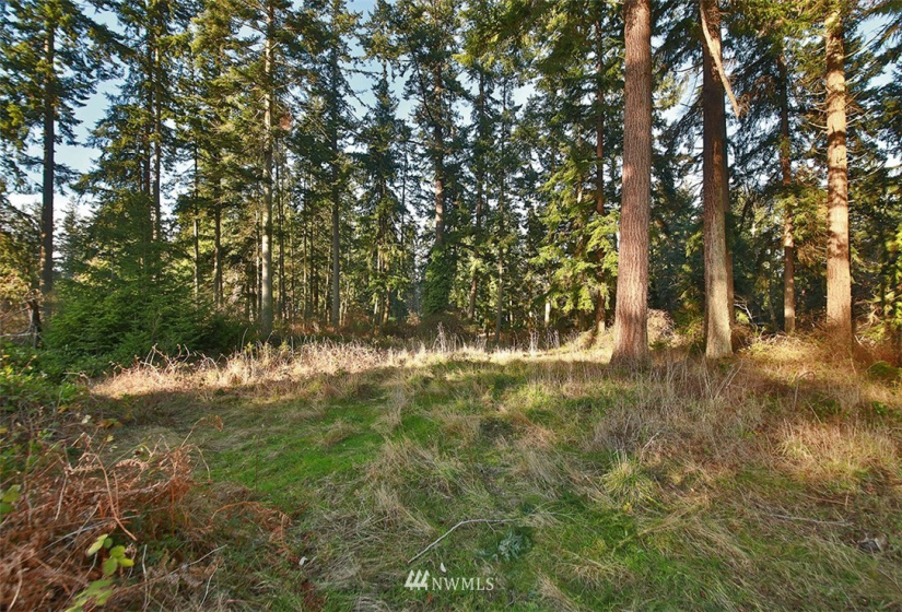 0 XXX Fish, Freeland, Washington 98249, ,Land,For Sale,Fish,NWM1882318