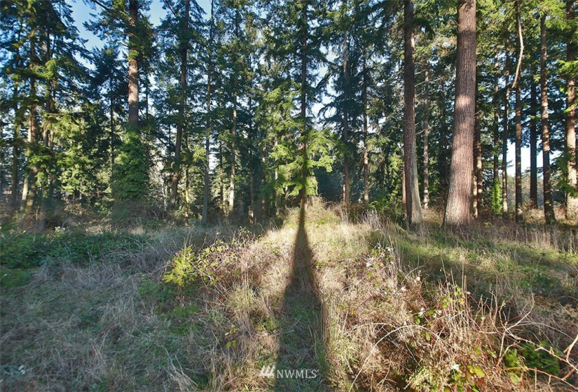 0 XXX Fish, Freeland, Washington 98249, ,Land,For Sale,Fish,NWM1882318