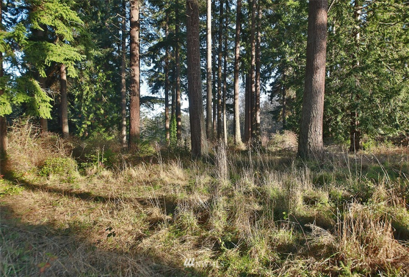 0 XXX Fish, Freeland, Washington 98249, ,Land,For Sale,Fish,NWM1882318