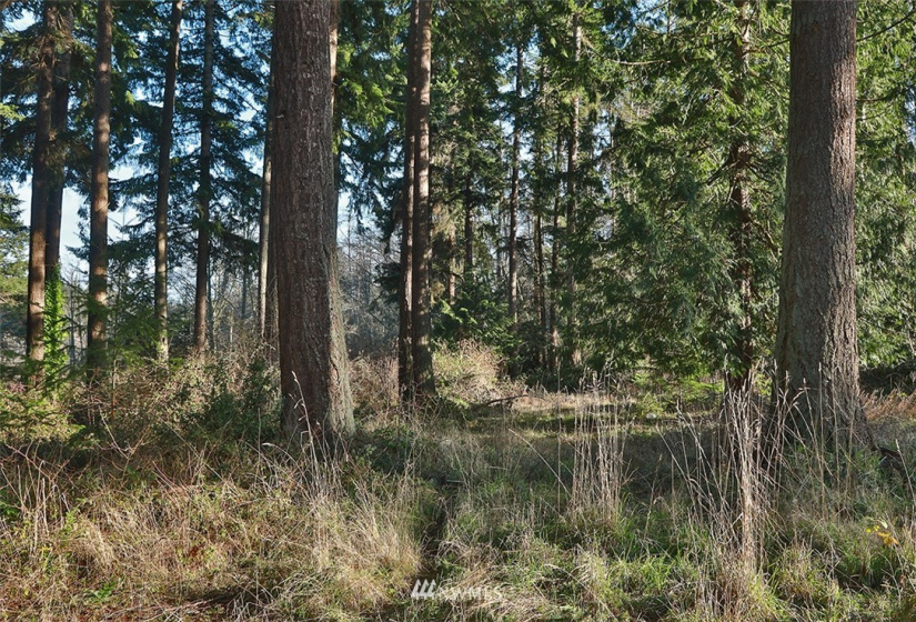 0 XXX Fish, Freeland, Washington 98249, ,Land,For Sale,Fish,NWM1882318