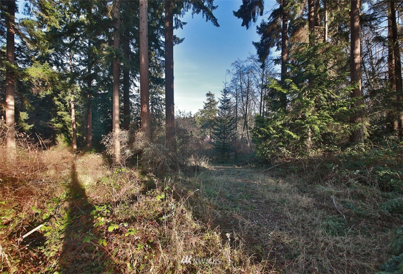 0 XXX Fish, Freeland, Washington 98249, ,Land,For Sale,Fish,NWM1882318