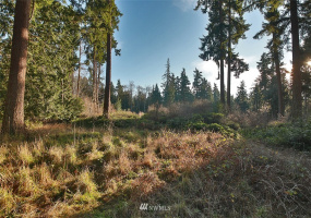 0 XXX Fish, Freeland, Washington 98249, ,Land,For Sale,Fish,NWM1882318