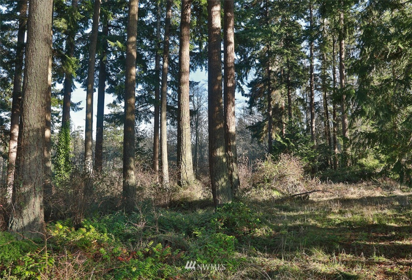 0 XXX Fish, Freeland, Washington 98249, ,Land,For Sale,Fish,NWM1882318