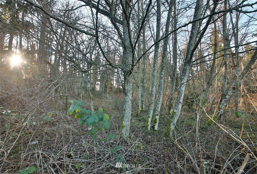 0 XXX Fish, Freeland, Washington 98249, ,Land,For Sale,Fish,NWM1882318