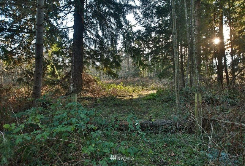 0 XXX Fish, Freeland, Washington 98249, ,Land,For Sale,Fish,NWM1882318