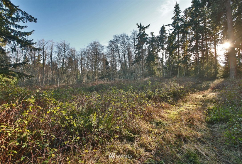 0 XXX Fish, Freeland, Washington 98249, ,Land,For Sale,Fish,NWM1882318