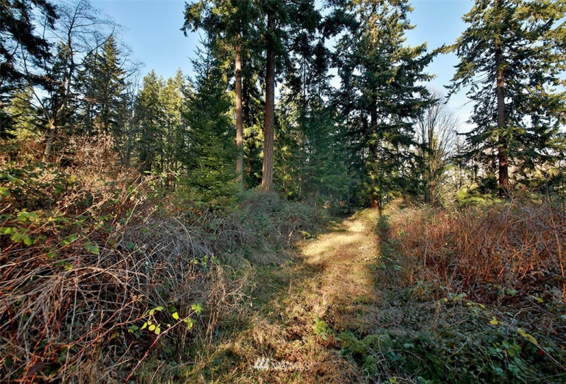 0 XXX Fish, Freeland, Washington 98249, ,Land,For Sale,Fish,NWM1882318