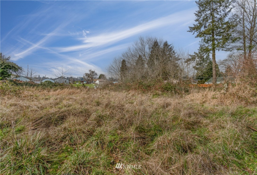 116 Maple, Kelso, Washington 98626, ,Land,For Sale,Maple,NWM1882859