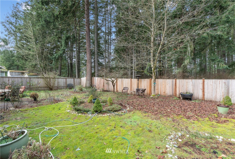 4713 Rosemont, Lacey, Washington 98503, 3 Bedrooms Bedrooms, ,Residential Lease,For Rent,Rosemont,NWM1882896