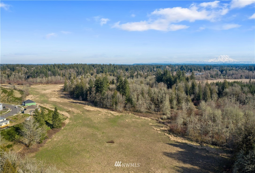 2307 79th, Tumwater, Washington 98501, 4 Bedrooms Bedrooms, ,3 BathroomsBathrooms,Residential,For Sale,79th,NWM1882241