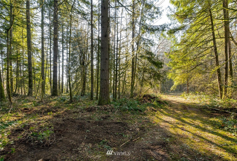 0 Belmore, Tumwater, Washington 98512, ,Land,For Sale,Belmore,NWM1882856