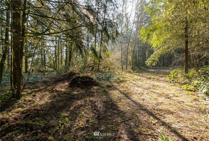 0 Belmore, Tumwater, Washington 98512, ,Land,For Sale,Belmore,NWM1882856