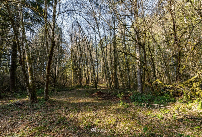 0 Belmore, Tumwater, Washington 98512, ,Land,For Sale,Belmore,NWM1882856