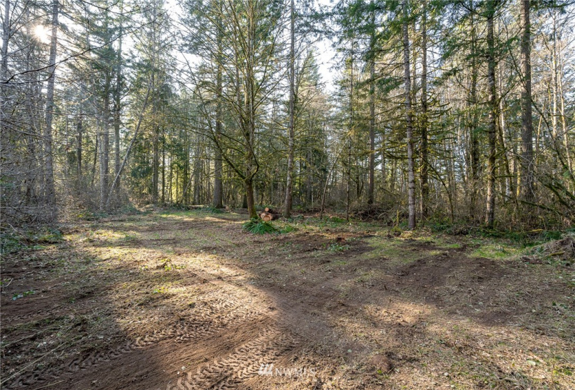0 Belmore, Tumwater, Washington 98512, ,Land,For Sale,Belmore,NWM1882856