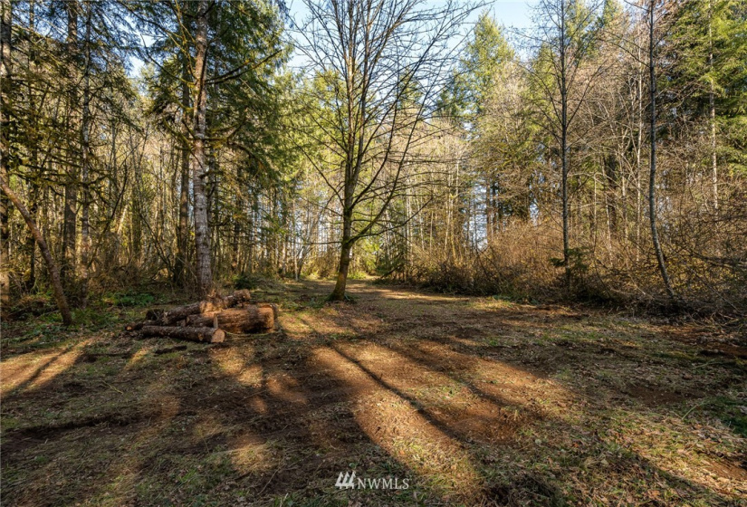 0 Belmore, Tumwater, Washington 98512, ,Land,For Sale,Belmore,NWM1882856