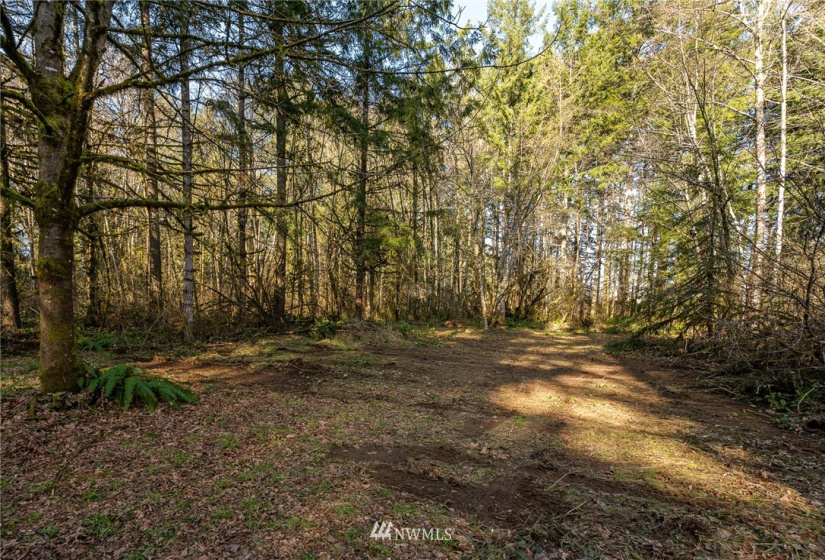 0 Belmore, Tumwater, Washington 98512, ,Land,For Sale,Belmore,NWM1882856