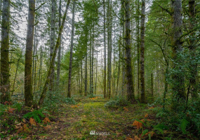 0 Belmore, Tumwater, Washington 98512, ,Land,For Sale,Belmore,NWM1882856