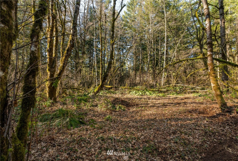 0 Belmore, Tumwater, Washington 98512, ,Land,For Sale,Belmore,NWM1882856