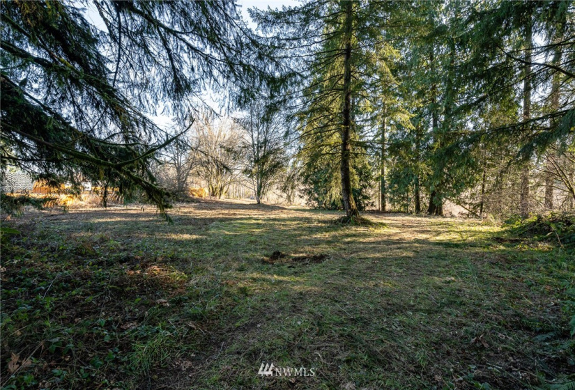 0 Belmore, Tumwater, Washington 98512, ,Land,For Sale,Belmore,NWM1882856