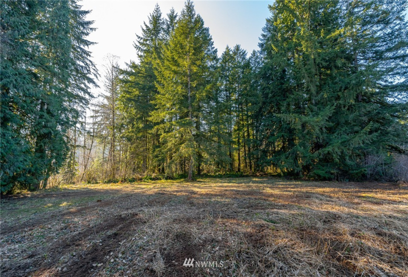 0 Belmore, Tumwater, Washington 98512, ,Land,For Sale,Belmore,NWM1882856