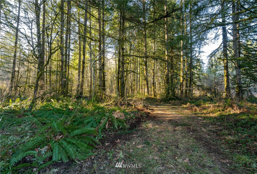0 Belmore, Tumwater, Washington 98512, ,Land,For Sale,Belmore,NWM1882856