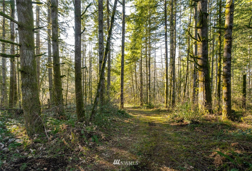 0 Belmore, Tumwater, Washington 98512, ,Land,For Sale,Belmore,NWM1882856