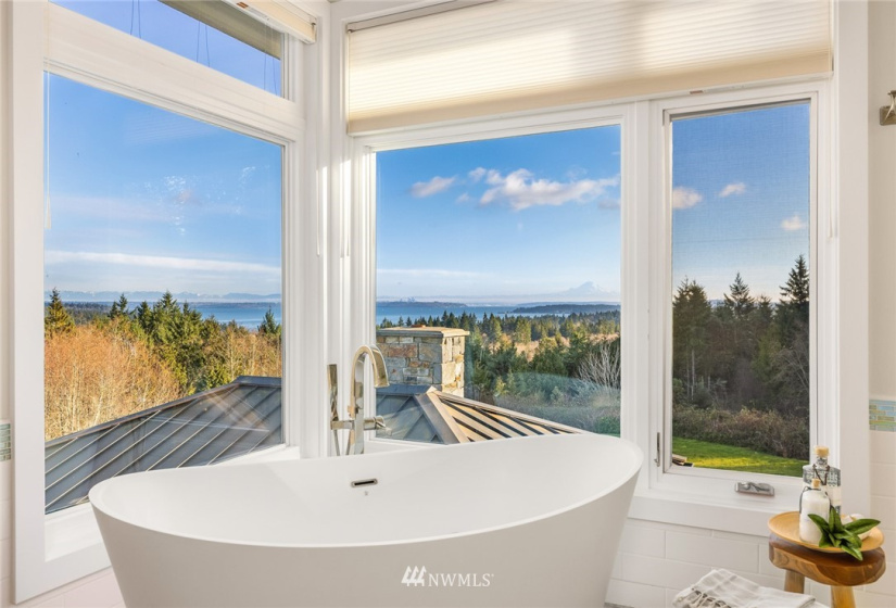 5330 See Forever, Poulsbo, Washington 98370, 4 Bedrooms Bedrooms, ,2 BathroomsBathrooms,Residential,For Sale,See Forever,NWM1881933