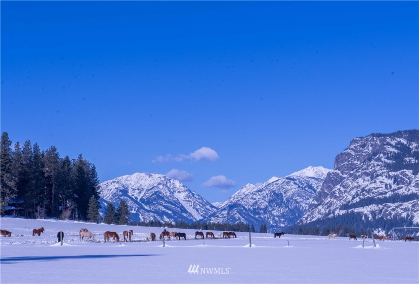 0 180xx Highway 20, Winthrop, Washington 98852, ,Land,For Sale,Dusty's Short Plat, SP 2006-10,180xx Highway 20,NWM1881837