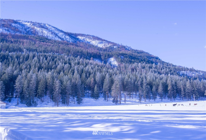 0 180xx Highway 20, Winthrop, Washington 98852, ,Land,For Sale,Dusty's Short Plat, SP 2006-10,180xx Highway 20,NWM1881837