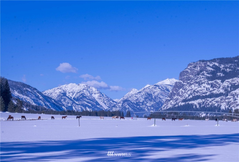 0 180xx Highway 20, Winthrop, Washington 98852, ,Land,For Sale,Dusty's Short Plat, SP 2006-10,180xx Highway 20,NWM1881837