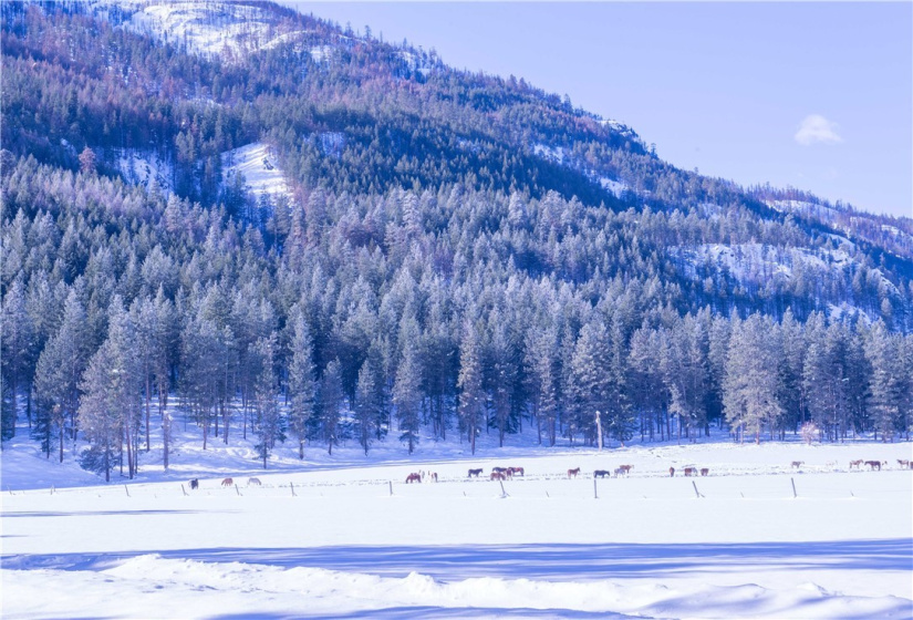 0 180xx Highway 20, Winthrop, Washington 98852, ,Land,For Sale,Dusty's Short Plat, SP 2006-10,180xx Highway 20,NWM1881837