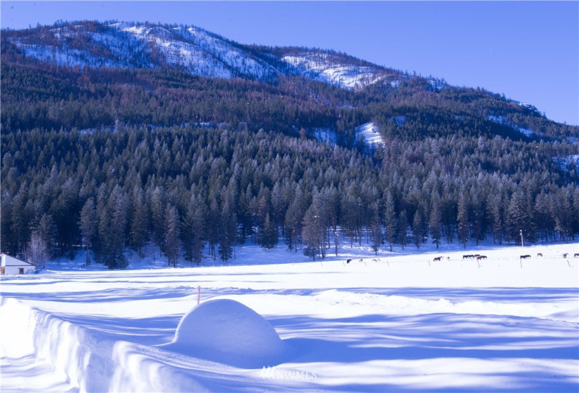 0 180xx Highway 20, Winthrop, Washington 98852, ,Land,For Sale,Dusty's Short Plat, SP 2006-10,180xx Highway 20,NWM1881837