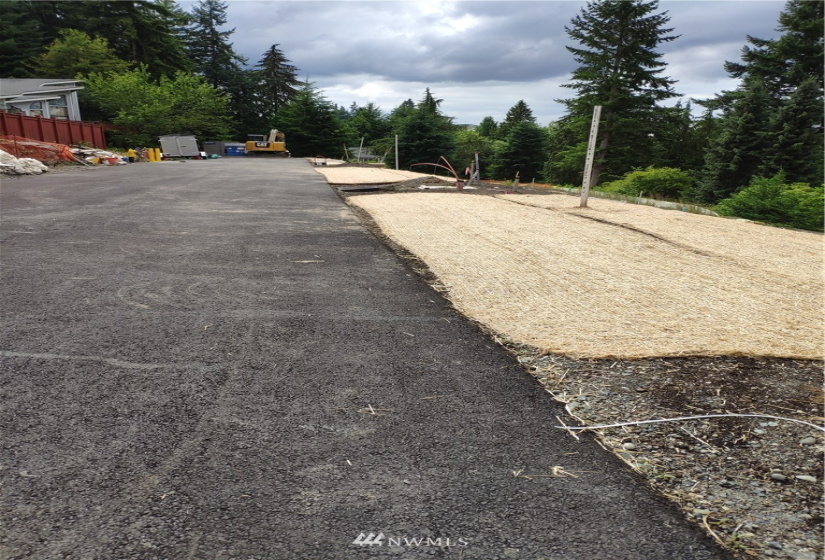 16120 44, Bellevue, Washington 98006, ,Land,For Sale,44,NWM1882822