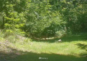 534 Cannon, Packwood, Washington 98361, ,Land,For Sale,Cannon,NWM1883124