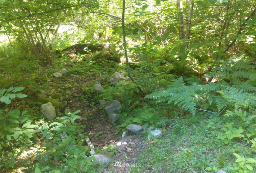 534 Cannon, Packwood, Washington 98361, ,Land,For Sale,Cannon,NWM1883124