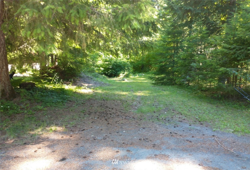 534 Cannon, Packwood, Washington 98361, ,Land,For Sale,Cannon,NWM1883124