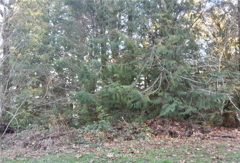 1 Earsley, Shelton, Washington 98584, ,Land,For Sale,Buzzard Bay,Earsley,NWM1882879
