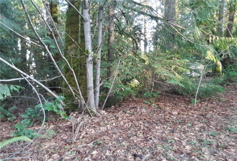 1 Earsley, Shelton, Washington 98584, ,Land,For Sale,Buzzard Bay,Earsley,NWM1882879