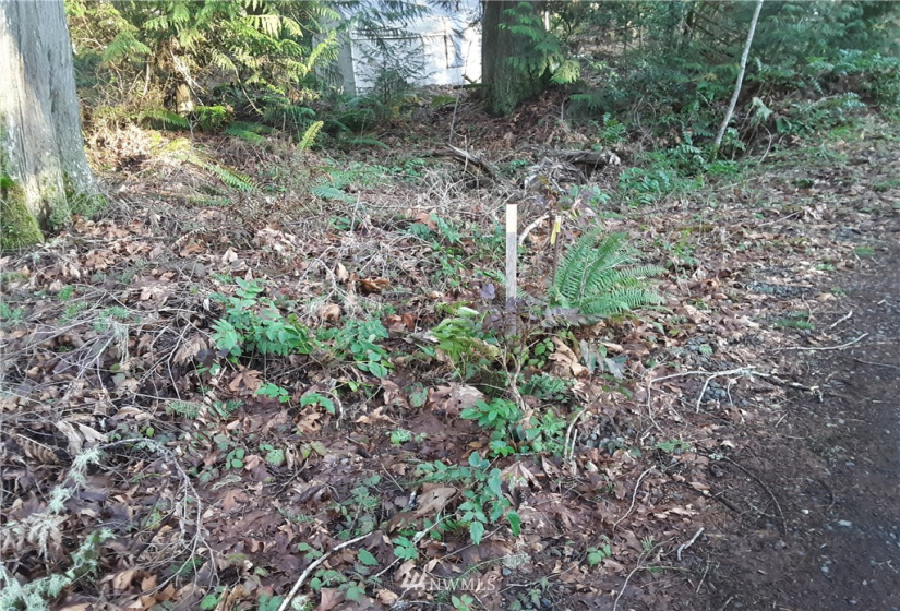 1 Earsley, Shelton, Washington 98584, ,Land,For Sale,Buzzard Bay,Earsley,NWM1882879