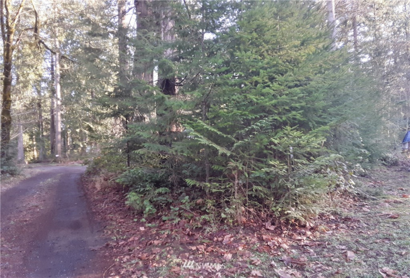 1 Earsley, Shelton, Washington 98584, ,Land,For Sale,Buzzard Bay,Earsley,NWM1882879