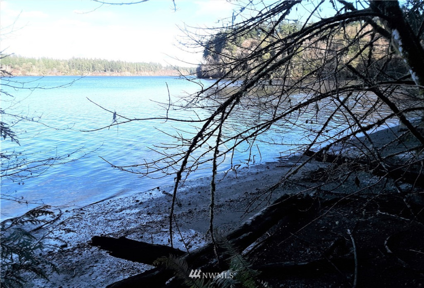 1 Earsley, Shelton, Washington 98584, ,Land,For Sale,Buzzard Bay,Earsley,NWM1882879