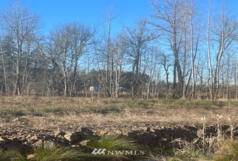 122 Hill Creek, Toledo, Washington 98591, ,Land,For Sale,Hill Creek,NWM1883138